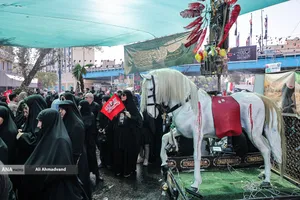 پیاده&zwnj;روی جاماندگان اربعین در تهران

