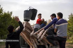 توانمندی اقتصادی برای رفع محرومیت - باغ گلابی