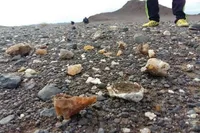 رازهای نهفته در دل خاک؛ گوهرهایی که رو به زوال می‌روند!