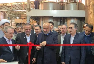 تکلیف جدید کالابرگ برای فروشگاه‌ها؛ تسویه‌حساب با تولیدکنندگان در یک هفته الزامی شد