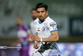 گزارش تصویری سرخابی ها