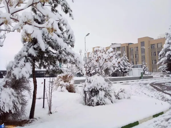 دانشگاه آزاد اسلامی واحد قم در یک روز برفی