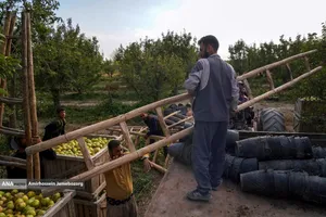 توانمندی اقتصادی برای رفع محرومیت - باغ گلابی