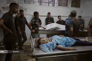 شهرک نشینان صهیونیست مسیر کامیون&zwnj;های حامل آرد به نوار غزه را بستند