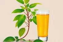 چگونه دانشمندان آویشن را به «پزشکی دقیق» تبدیل کردند