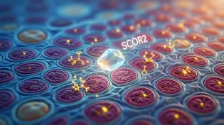 دانشمندان یک سازوکار پنهانِ تولید چربی را کشف و غیرفعال کردند