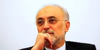 علی‌اکبر صالحی: استقلال در جذب هیئت علمی حق دانشگاه‌های بزرگ است