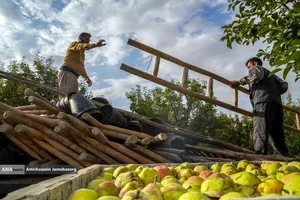 توانمندی اقتصادی برای رفع محرومیت - باغ گلابی