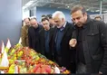 بازدید دکر طهرانچی از گلخانه