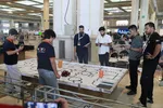 روبوکاب