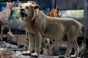 متحف برديسان للتنوع البيولوجي ، طهران