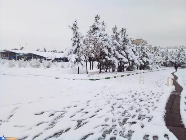 دانشگاه آزاد اسلامی واحد قم در یک روز برفی