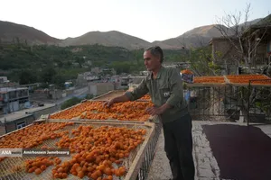 خُرو؛ پایتخت آلوی ایران