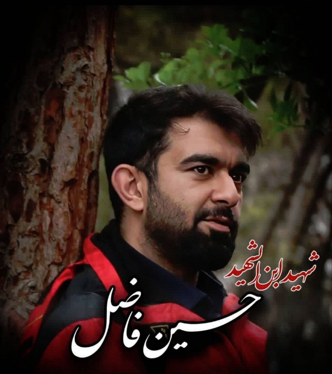 فدراسیون نجات غریق و غواصی