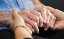 Bee venom may boost Parkinson&rsquo;s treatment