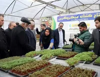 افتتاح مراکز تحقیقاتی و گلخانه‌های هوشمند دانشگاه آزاد اسلامی کرج