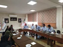 بومی‌سازی دانش فناوری در سطح استاندارد‌های بین‌المللی با استفاده از استادان دانشگاه