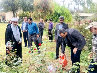 غرس ۲۳ نهال به شهدای دانشجو در دانشگاه آزاد اسلامی واحد دزفول