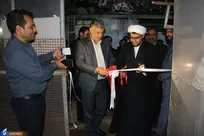 نمایشگاه دانش‌بنیان گیاهان زینتی و آپارتمانی در زاهدان گشایش یافت