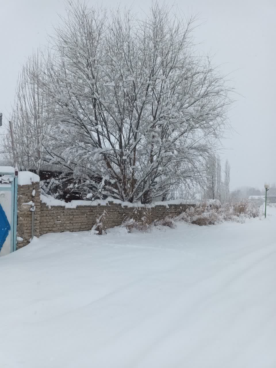 جدیدترین اخبار از وضعیت راه‌های کشور/ رخت سپید بر تن ۱۶ استان/ ترافیک سنگین در آزادراه کرج ـ قزوین