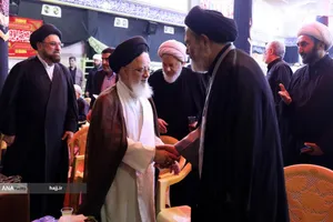 نشست علمی &laquo;ظرفیت&zwnj;های اربعین و ترویج گفتمان و معارف نهج&zwnj;البلاغه&raquo; در نجف اشرف 