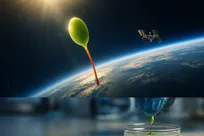 گیاهان اولیه می‌توانند در فضا دوام بیاورند