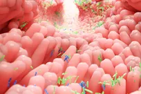 میکروبیوتا (Microbiota) چیست؟