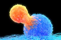 A promising weapon against cancer recurrence