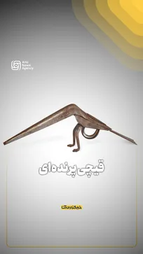قیچی پرنده‌ای
