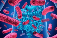 نقش میکروب‌ها در سلامتی انسان