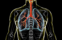 Diet quality linked to better lung health