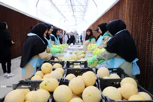  بازدید دکتر رنجبر و حجت&zwnj;الاسلام&zwnj;والمسلمین خسروپناه از مراکز فناوری و تحقیقاتی دانشگاه آزاد اسلامی واحد اصفهان 
