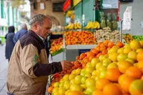 توزیع میوه ایام پایانی سال از امروز/ هر کیلوگرم پرتقال ۹۰ و سیب تنظیم بازار ۱۳۵ هزار تومان