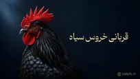 قربانی خروس سیاه؛ فواید، آداب و سفارش آنلاین