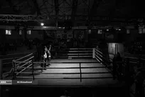 قهرمانان بی‌صدا، مشکلات پر سر و صدا/ روایت از مسابقات بوکس با حاشیه‌های تکراری