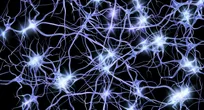 نورون (Neuron) چیست؟