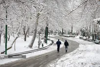 بارش برف زمستانی در تهران