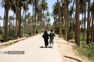 شور اربعین