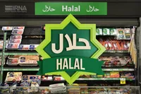 غفلت از برند حلال در ایران/ بازارهای حلال حق ایران است