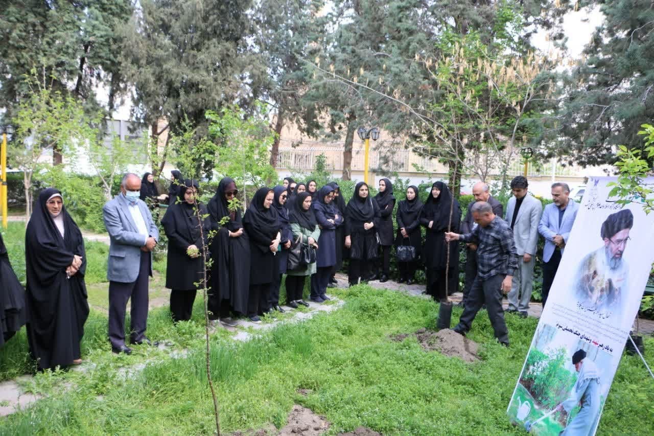 غرس نهال امید به همت معاونت فرهنگی دانشجویی دانشگاه آزاد اسلامی واحد علوم پزشکی مشهد غرس نهال امید به همت معاونت فرهنگی دانشجویی دانشگاه آزاد اسلامی واحد علوم پزشکی مشهد