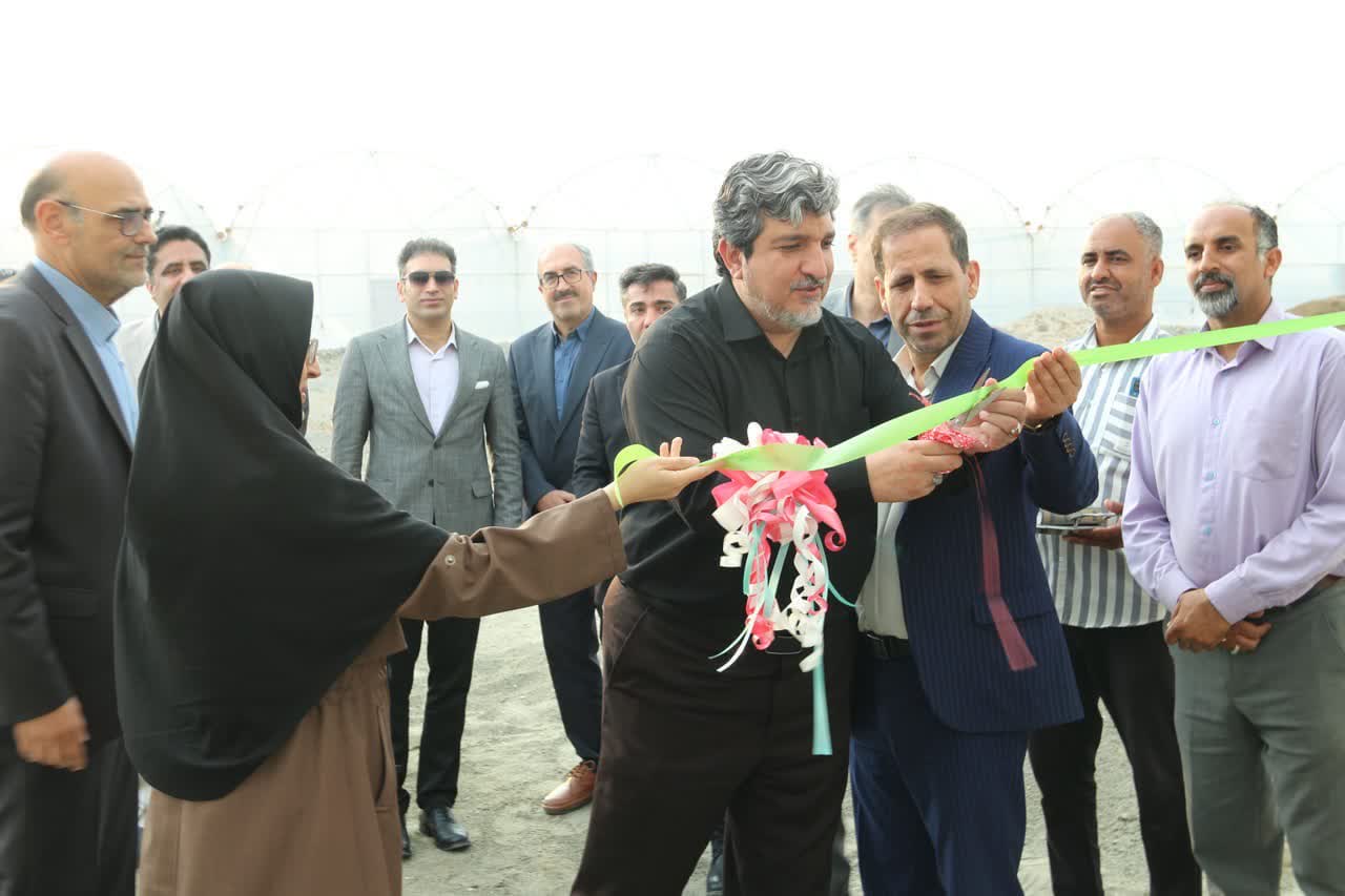 توسعه زیرساخت‌های کشاورزی در دانشگاه آزاد؛ بهره‌برداری از فاز سوم گلخانه آموزشی رودان برای ارتقای امنیت غذایی کشور