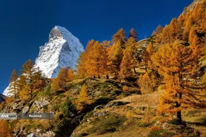 منظره پاییز در ارتفاعات آلپ