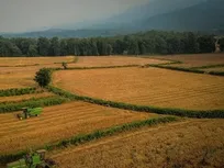 امکان تغییر کاربری زمین کشاورزی برای سه فعالیت گردشگری ایجاد شد