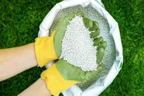دستور دادستانی تهران درخصوص بازنگری در قیمت کود‌های شیمیایی