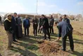 درختکاری در واحد کرمانشاه