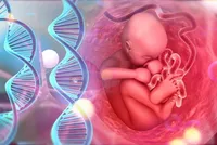 بند ناف، دفتر خاطراتی از آینده