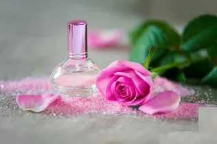 رونمایی از ۴ محصول اسانس گل محمدی در پژوهشکده اسانس‌های طبیعی قمصر 
