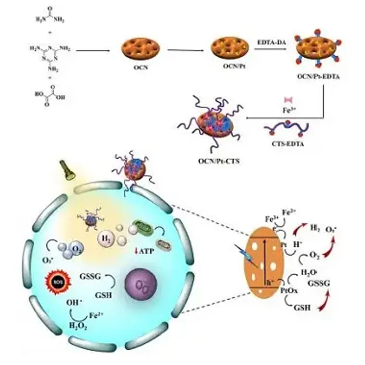 Nanocatalyst enhances destruction of cancer cells