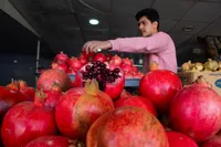 تلاش فناورانه سرای نوآوری برای حل چالش‌‌های کشت و صنعت انار