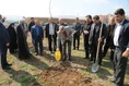 درختکاری در واحد کرمانشاه